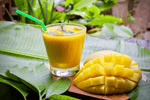 Tropical Mango Breeze - HLTY